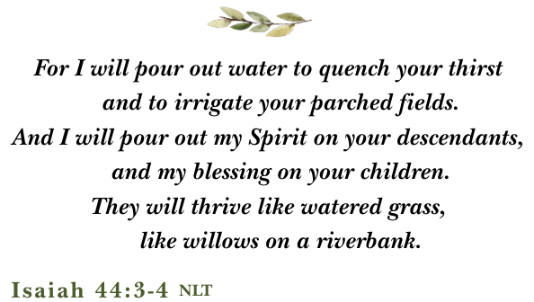 Isaiah 443-4 (800 x 420 px)